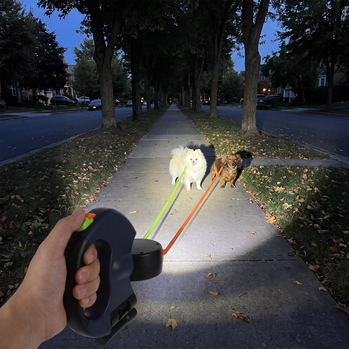 Tangle-Free Double Dog Leash